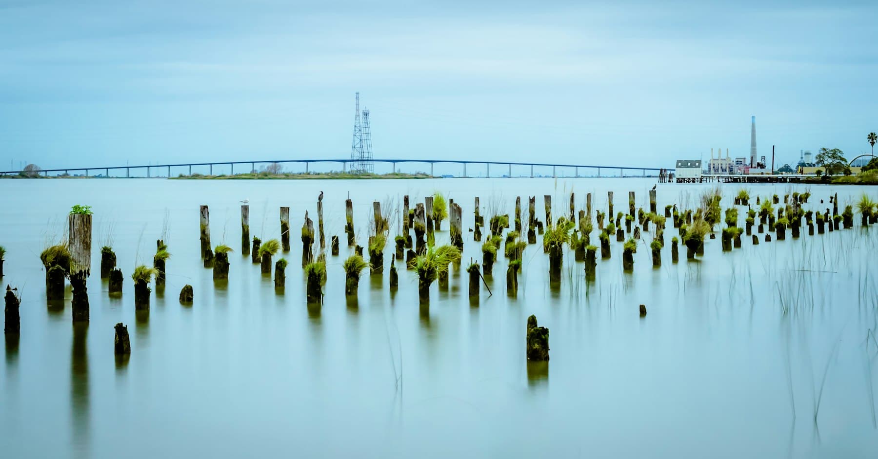 Weathered old pier pilings in the calm San Joaquin River at Antioch, with the Antioch Bridge on the horizon
