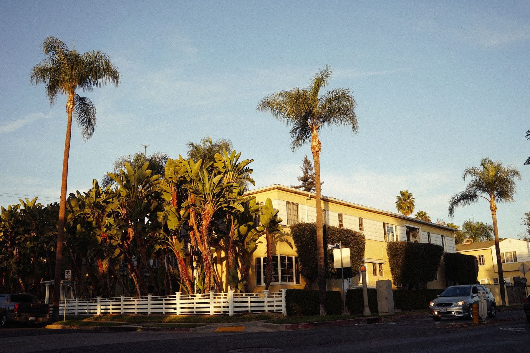 Two-story mid-century apartment building behind tall palm trees in warm afternoon light