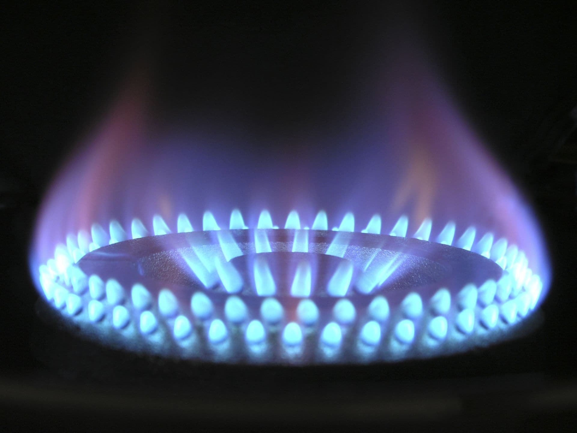 Close-up of a ring of blue gas burner flames against a dark background