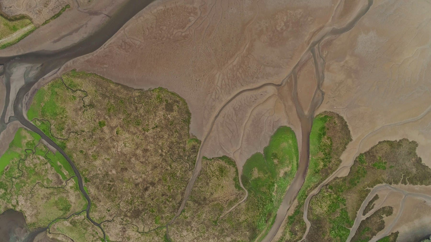 Aerial view of winding channels and green marsh islands in the waters off Discovery Bay
